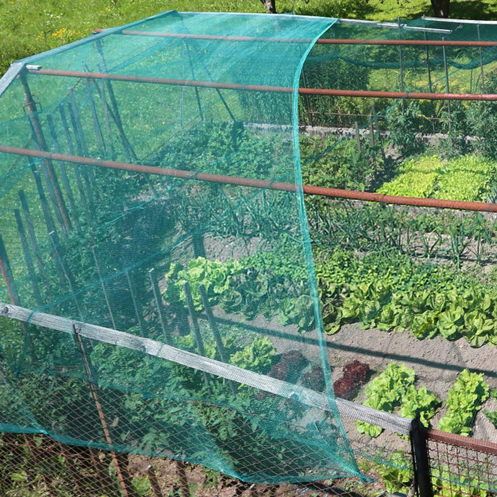 1 set Plant Protection Netting Green Garden Mesh For Fruits Trees Shrubs Vegetables Pest Durable Weather Resistant
1 set Plant Protection Netting Green Garden Mesh For Fruits Trees Shrubs Vegetables Pest Durable Weather Resistant