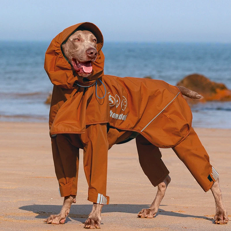Large Dog Raincoat Big Dog Waterproof Clothing Jumpsuit Corgi Samoyed Border Collie Husky Labrador Golden Retriever Costume Coat
Large Dog Raincoat Big Dog Waterproof Clothing Jumpsuit Corgi Samoyed Border Collie Husky Labrador Golden Retriever Costume Coat