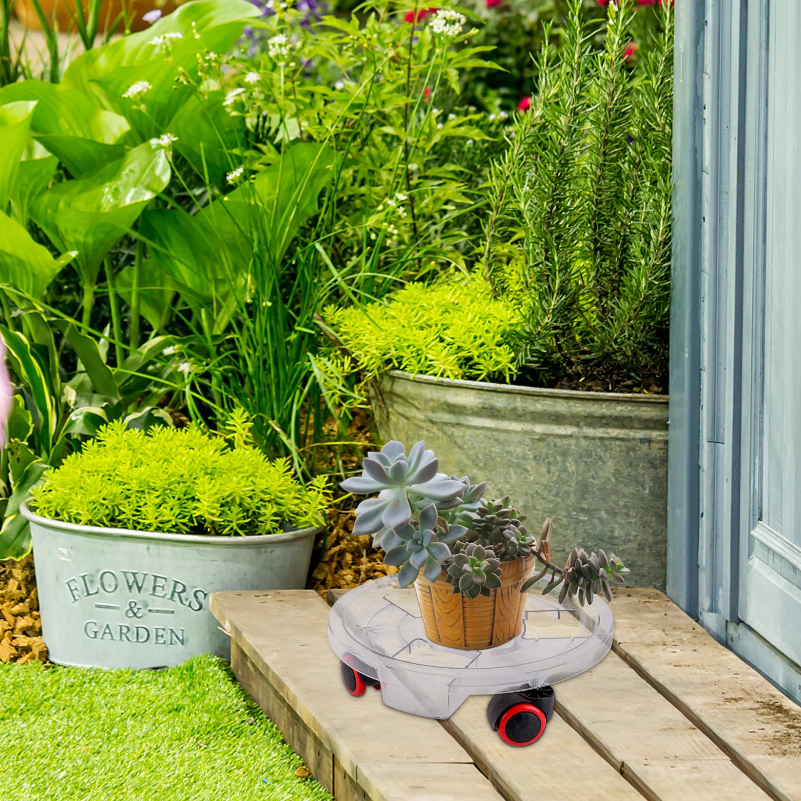 1Pcs Transparent Round Flowerpot Movable Base Wheel Tray Durable Resin Plant Pot Stand for Garden Patio Home Use
1Pcs Transparent Round Flowerpot Movable Base Wheel Tray Durable Resin Plant Pot Stand for Garden Patio Home Use