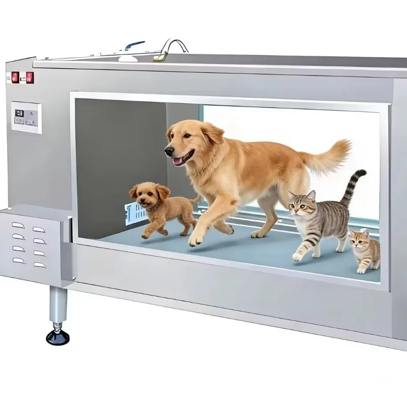 Pet Aquatic Treadmill: Underwater Running Exercise Machine for Dog Fitness & Daily Indoor Activity Training Equipment
Pet Aquatic Treadmill: Underwater Running Exercise Machine for Dog Fitness & Daily Indoor Activity Training Equipment
