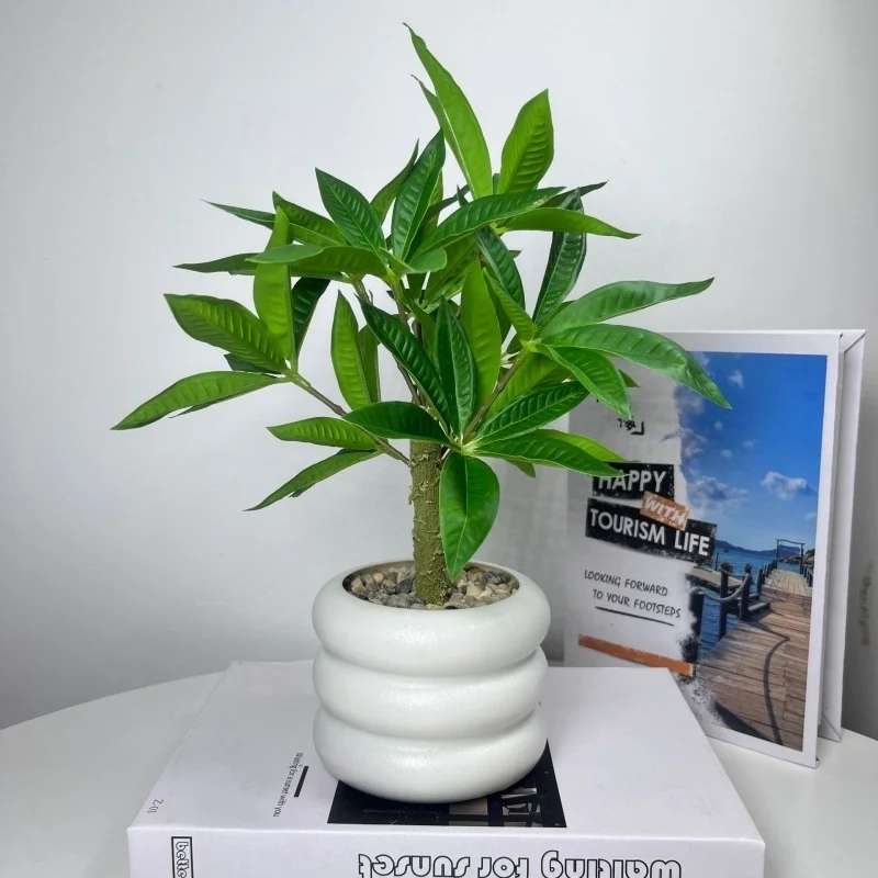 Artificial bamboo garden potted green leaf small tree fake succulent outdoor living room table aesthetic space home decoration
Artificial bamboo garden potted green leaf small tree fake succulent outdoor living room table aesthetic space home decoration