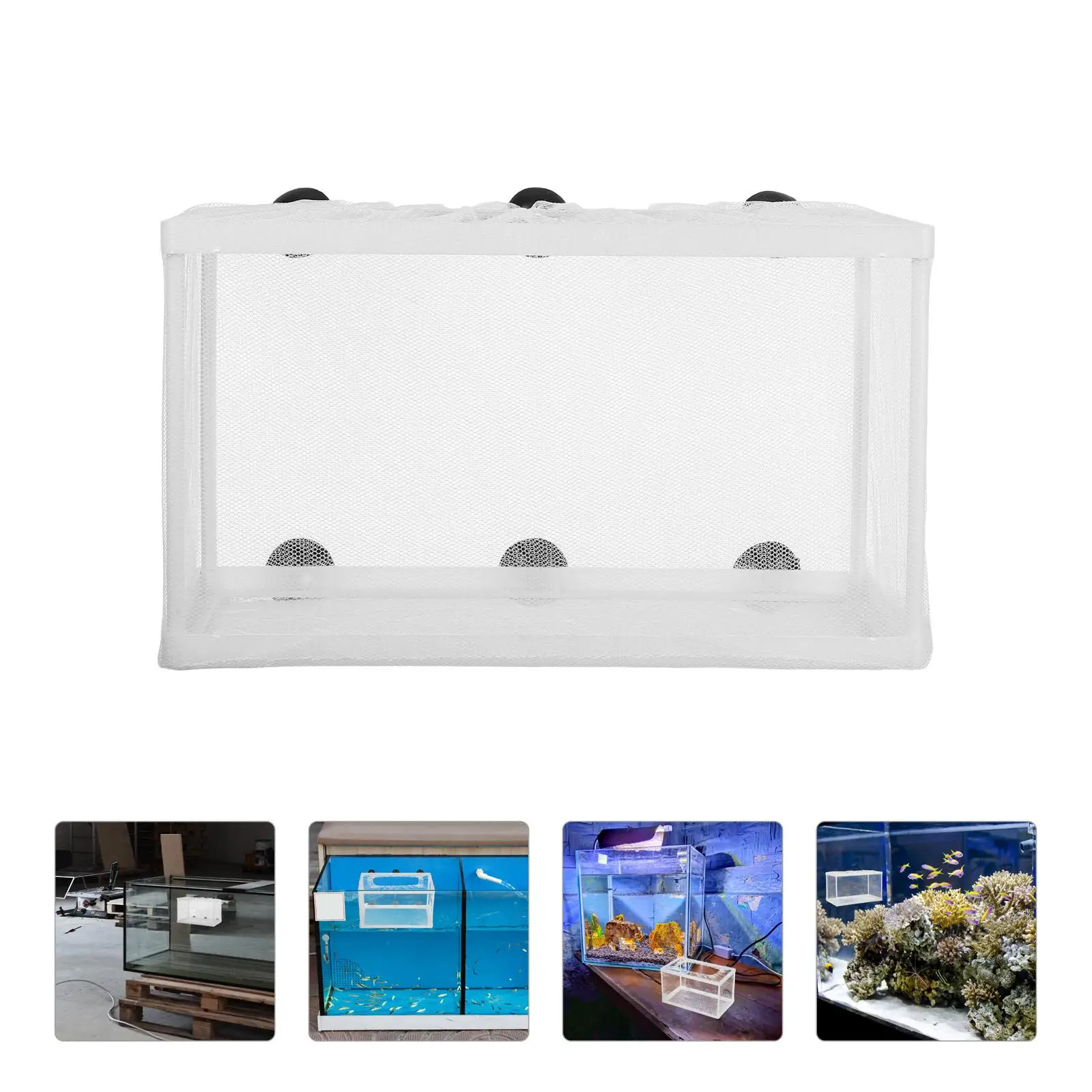 Aquarium Fish Breeder Box Hatchery Net Cage for Tank Isolation Nursery Holder Separating Aggressive Small Injured
Aquarium Fish Breeder Box Hatchery Net Cage for Tank Isolation Nursery Holder Separating Aggressive Small Injured