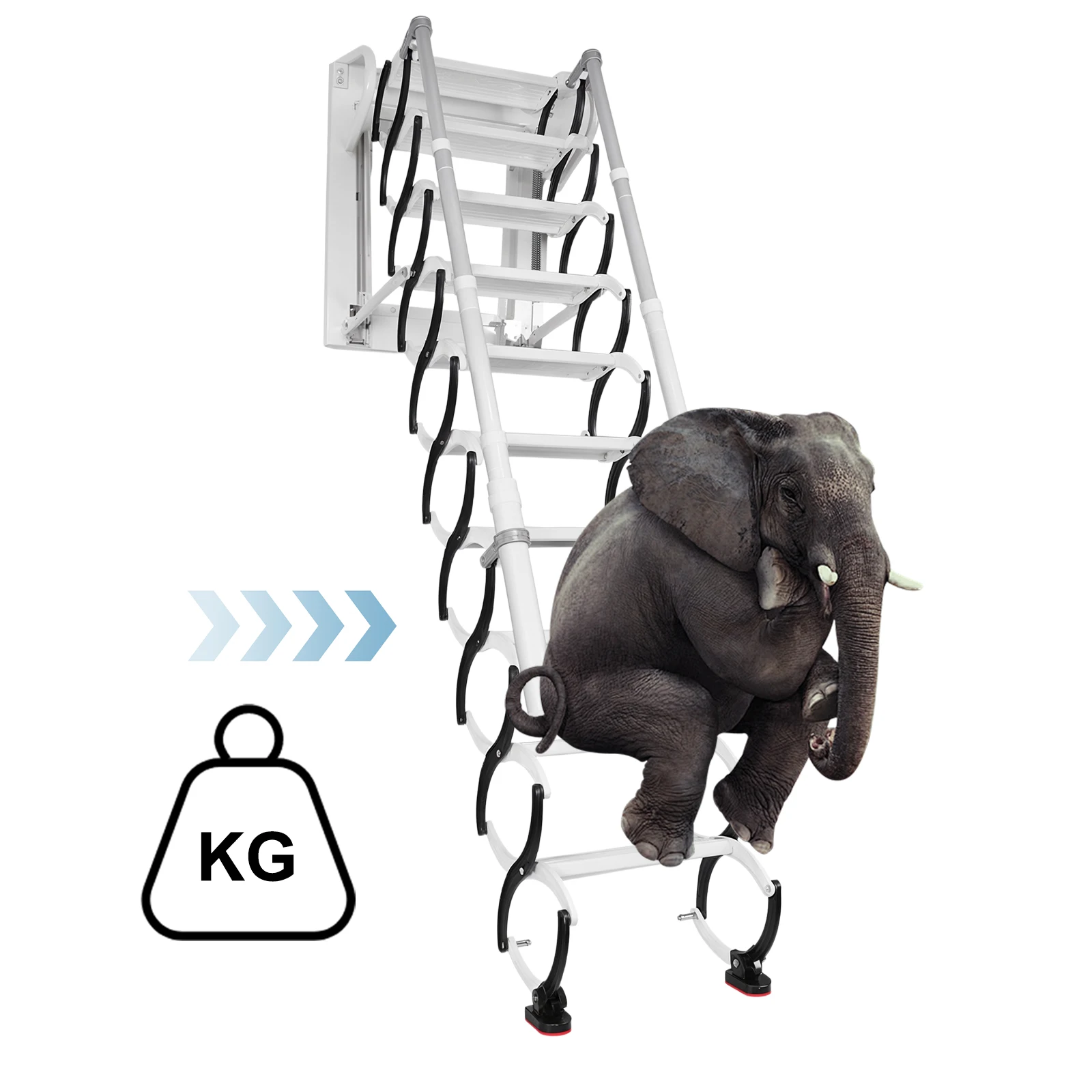 Wall-Mounted Folding Stairs Telescopic Attic Ladder (10 Steps 2.55-3.0M)
Wall-Mounted Folding Stairs Telescopic Attic Ladder (10 Steps 2.55-3.0M)