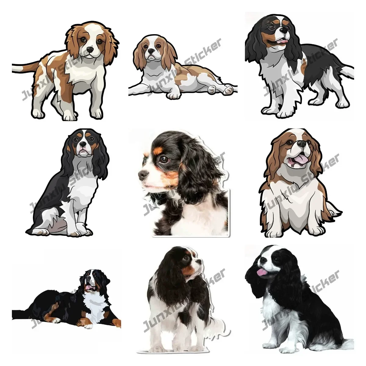 Cavalier King Charles Spaniel Decal Cartoon Animals Decal Cavalier King Reflective Car Sticker for Car Bumper Rear Window Laptop
Cavalier King Charles Spaniel Decal Cartoon Animals Decal Cavalier King Reflective Car Sticker for Car Bumper Rear Window Laptop