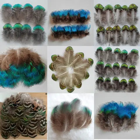 30Pcs,Fly Tying,Veren, Crafts DIY GOLD GREEN BLUE Peacock Plumage Feathers for Jewelry Making Home Party Decoration Plumas,Plume