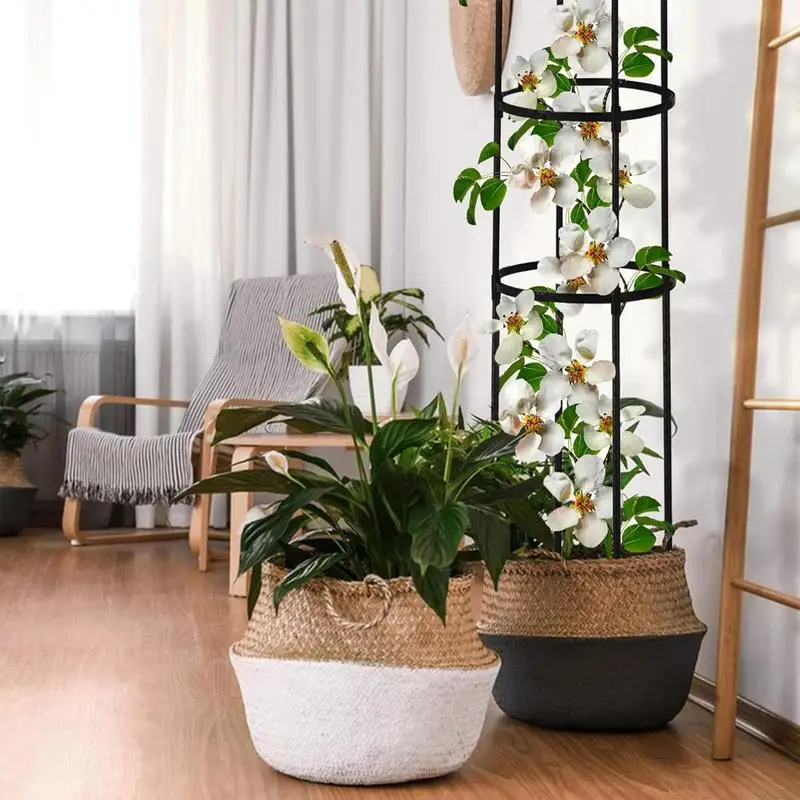Garden Trellis 5.7 Ft Metal Obelisk Trellis Adjustable Climbing Support For Backyard Patio Pathway Indoor Farm Clematis Jasmine
Garden Trellis 5.7 Ft Metal Obelisk Trellis Adjustable Climbing Support For Backyard Patio Pathway Indoor Farm Clematis Jasmine