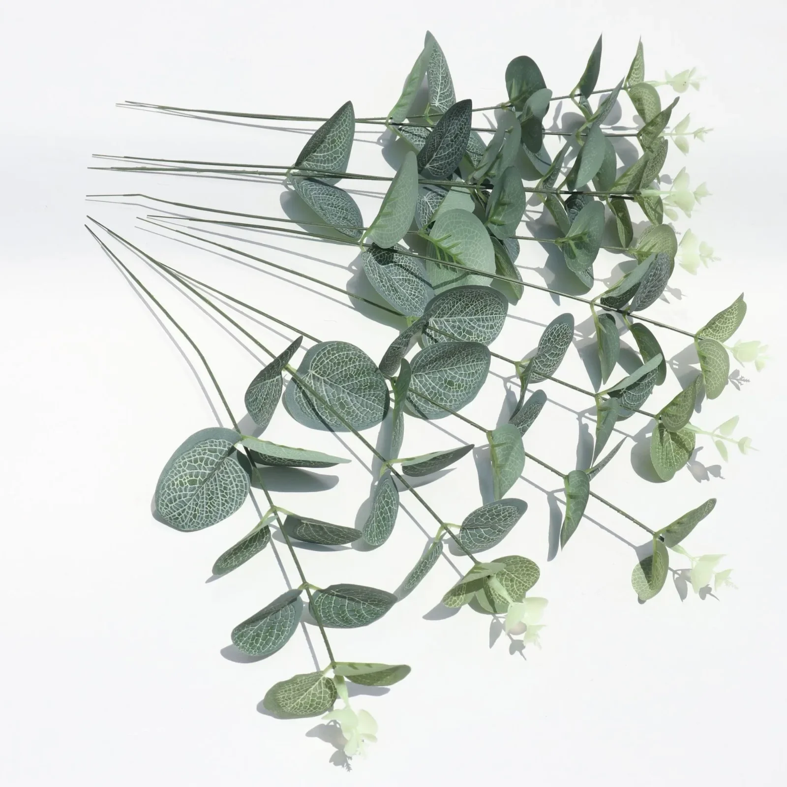 Discover the Magic of Trendy Faux Greenery: Single Stem Money Leaf Eucalyptus for Stunning Wedding & Photography Backdrop
Discover the Magic of Trendy Faux Greenery: Single Stem Money Leaf Eucalyptus for Stunning Wedding & Photography Backdrop