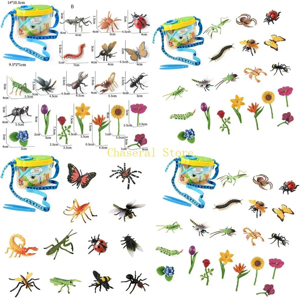 E7CE Insect Observation Set For Kids Encourage Curiosity And Learning Exploration Set
E7CE Insect Observation Set For Kids Encourage Curiosity And Learning Exploration Set