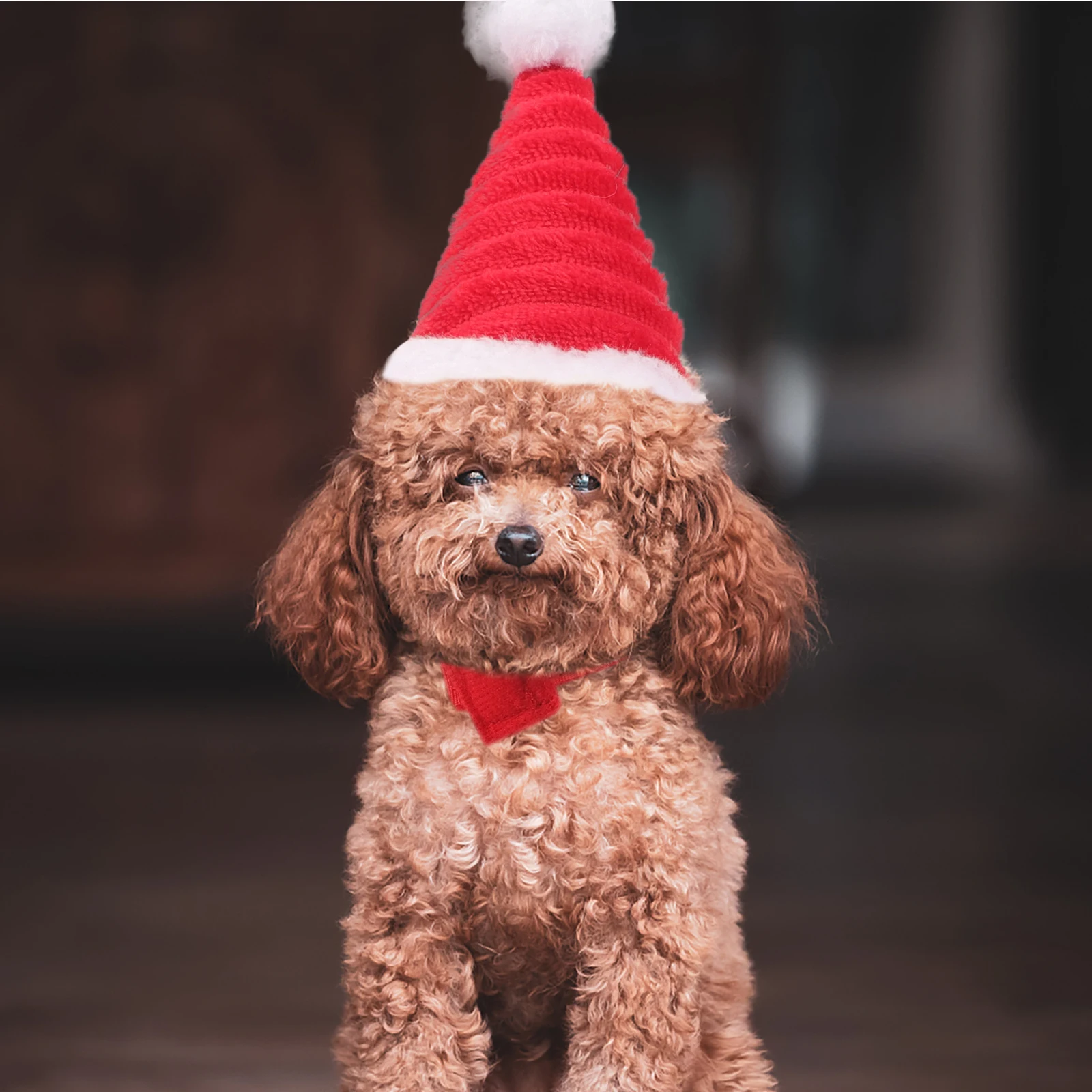 Christmas Hat for Pet Dog Cat Hamster Soft Comfortable Wear Premium Material Small Animal Outfit Party Accessory Christmas
Christmas Hat for Pet Dog Cat Hamster Soft Comfortable Wear Premium Material Small Animal Outfit Party Accessory Christmas