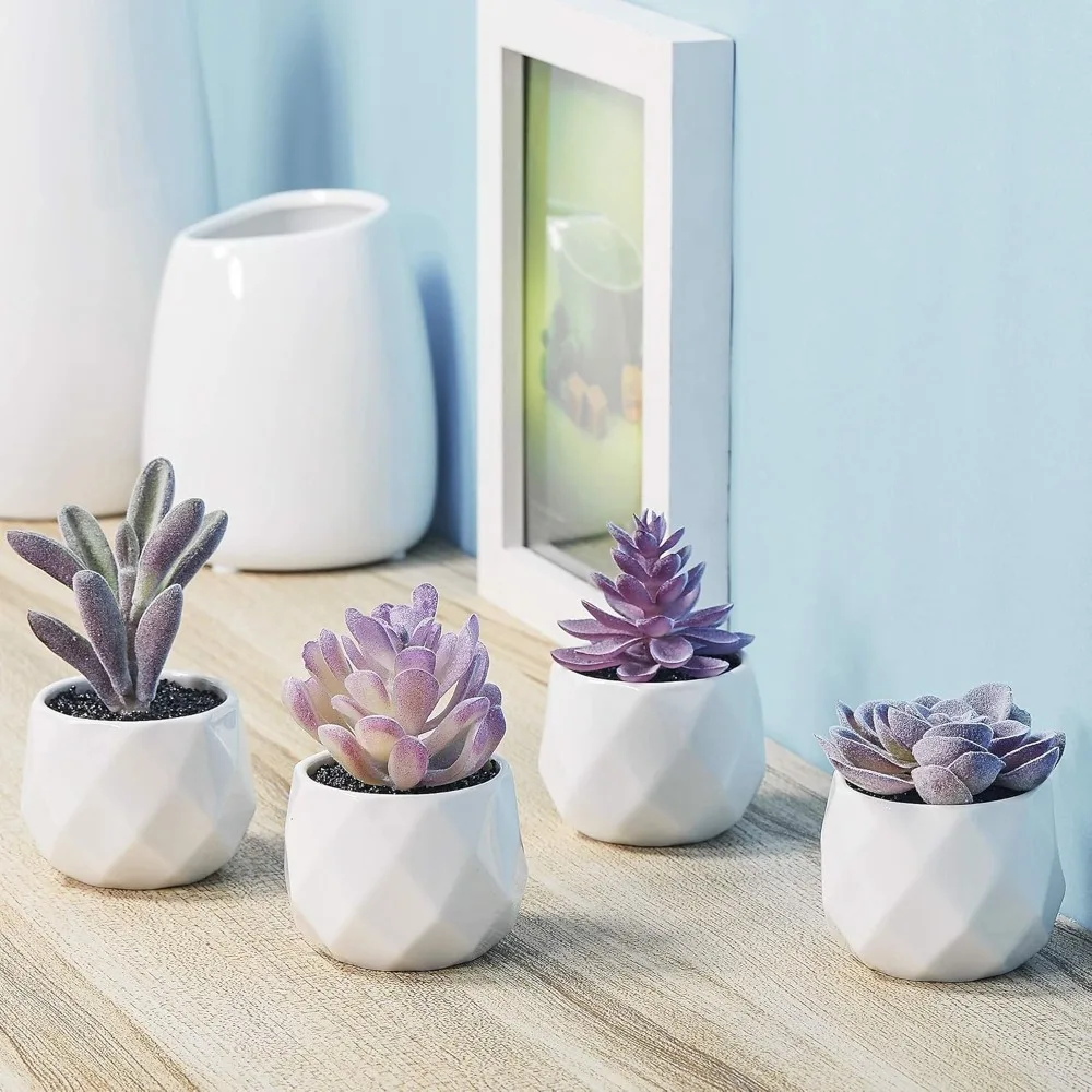 Fake Succulent Plant Set, Artificial Desk Plants for Women Desk, Realistic Faux Succulents in Ceramic Pots, Mini Purple Decor
Fake Succulent Plant Set, Artificial Desk Plants for Women Desk, Realistic Faux Succulents in Ceramic Pots, Mini Purple Decor