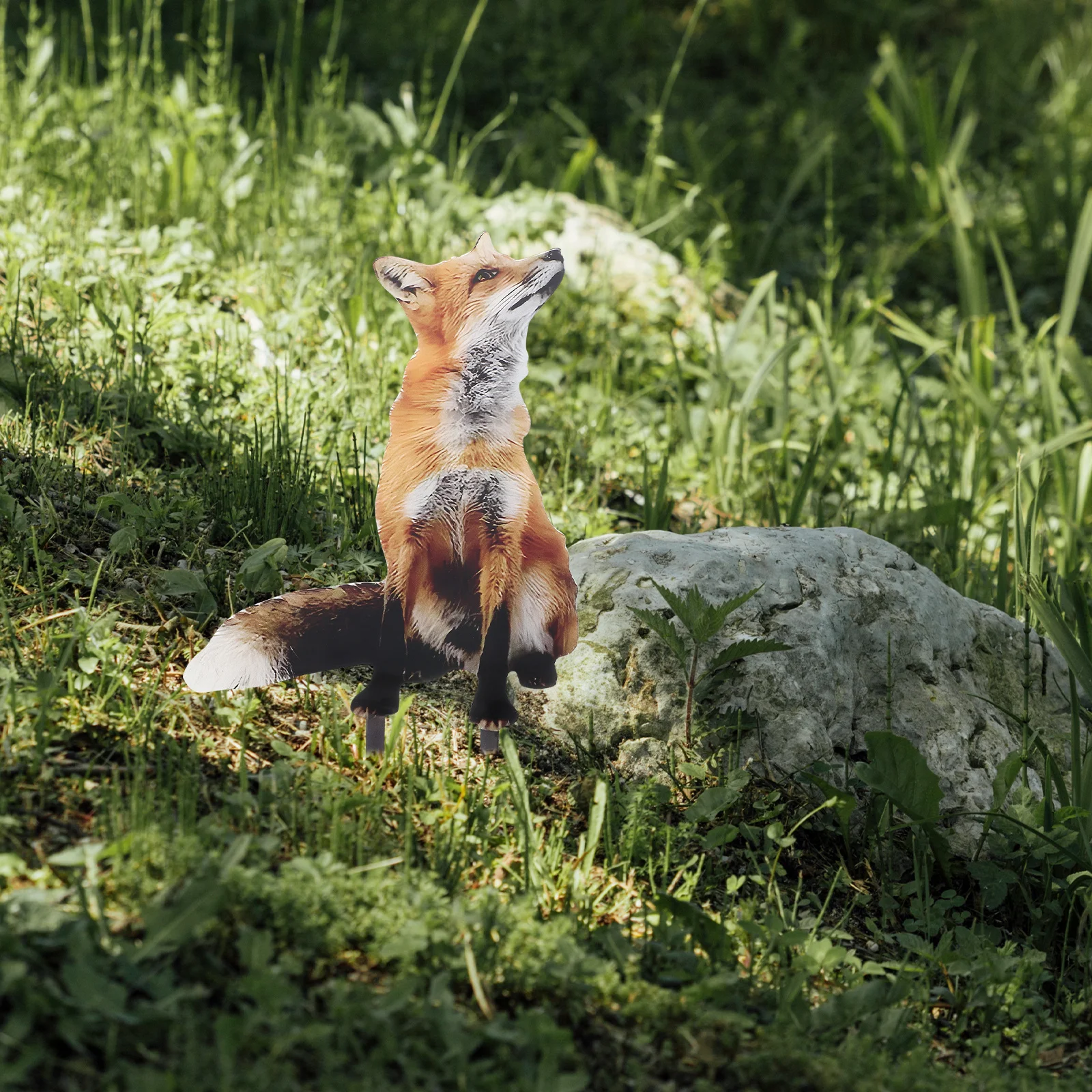 1pc Fox Decoration Card Acrylic Stake Ground Sign Courtyard Fox Lawn Sign Outdoor Decor Garden Stakes Yard Ornament
1pc Fox Decoration Card Acrylic Stake Ground Sign Courtyard Fox Lawn Sign Outdoor Decor Garden Stakes Yard Ornament