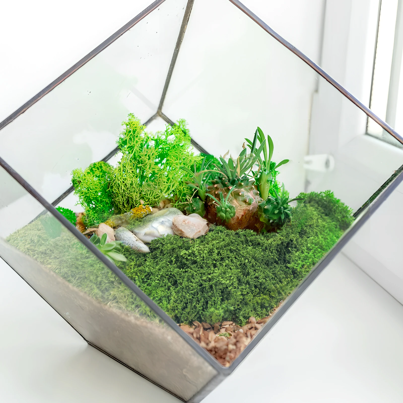 200G Artificial Moss Bulk Faux Greenery For Terrariums Fairy Gardens Indoor Plants Crafts Decor Simulation Moss For Centerpieces 
200G Artificial Moss Bulk Faux Greenery For Terrariums Fairy Gardens Indoor Plants Crafts Decor Simulation Moss For Centerpieces