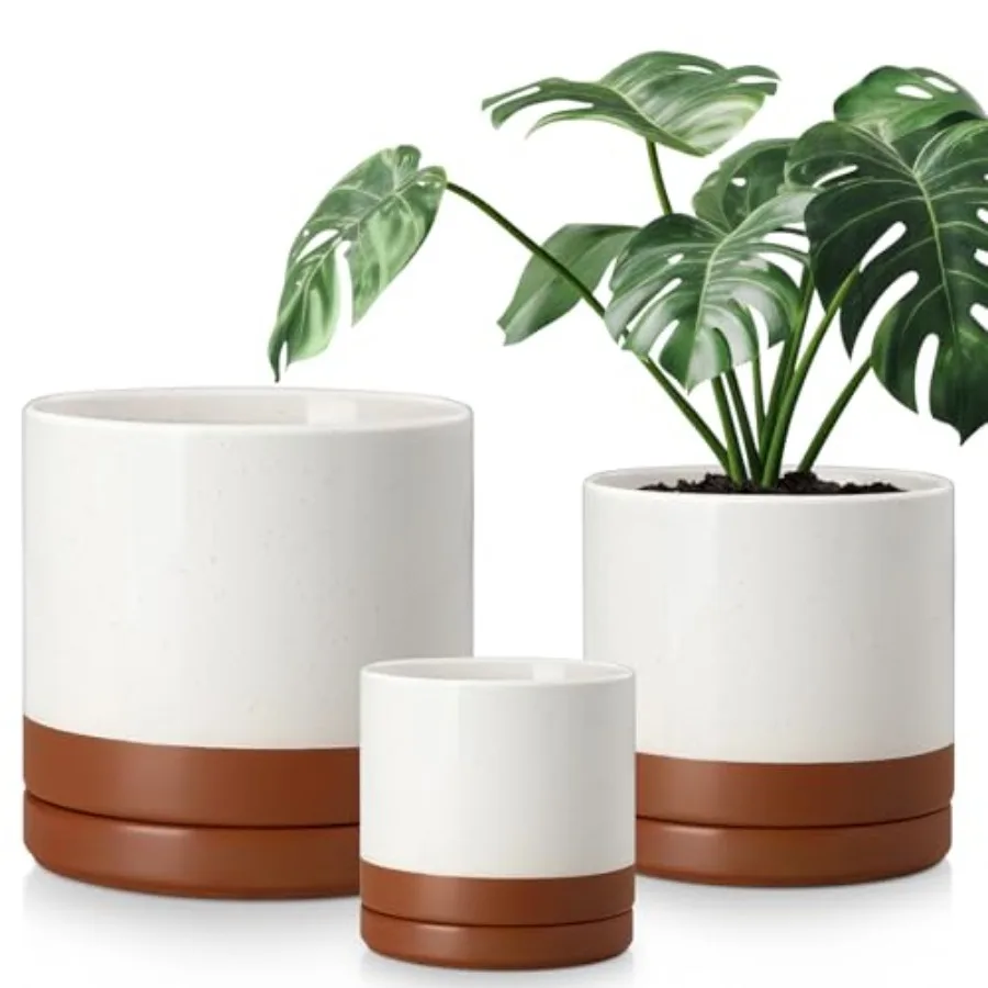 Indoor plant ceramic pots set of 3, khaki-colored stoneware with drainage holes, 6.25+8.25+10.25 inch sizes for optimal plant g
Indoor plant ceramic pots set of 3, khaki-colored stoneware with drainage holes, 6.25+8.25+10.25 inch sizes for optimal plant g