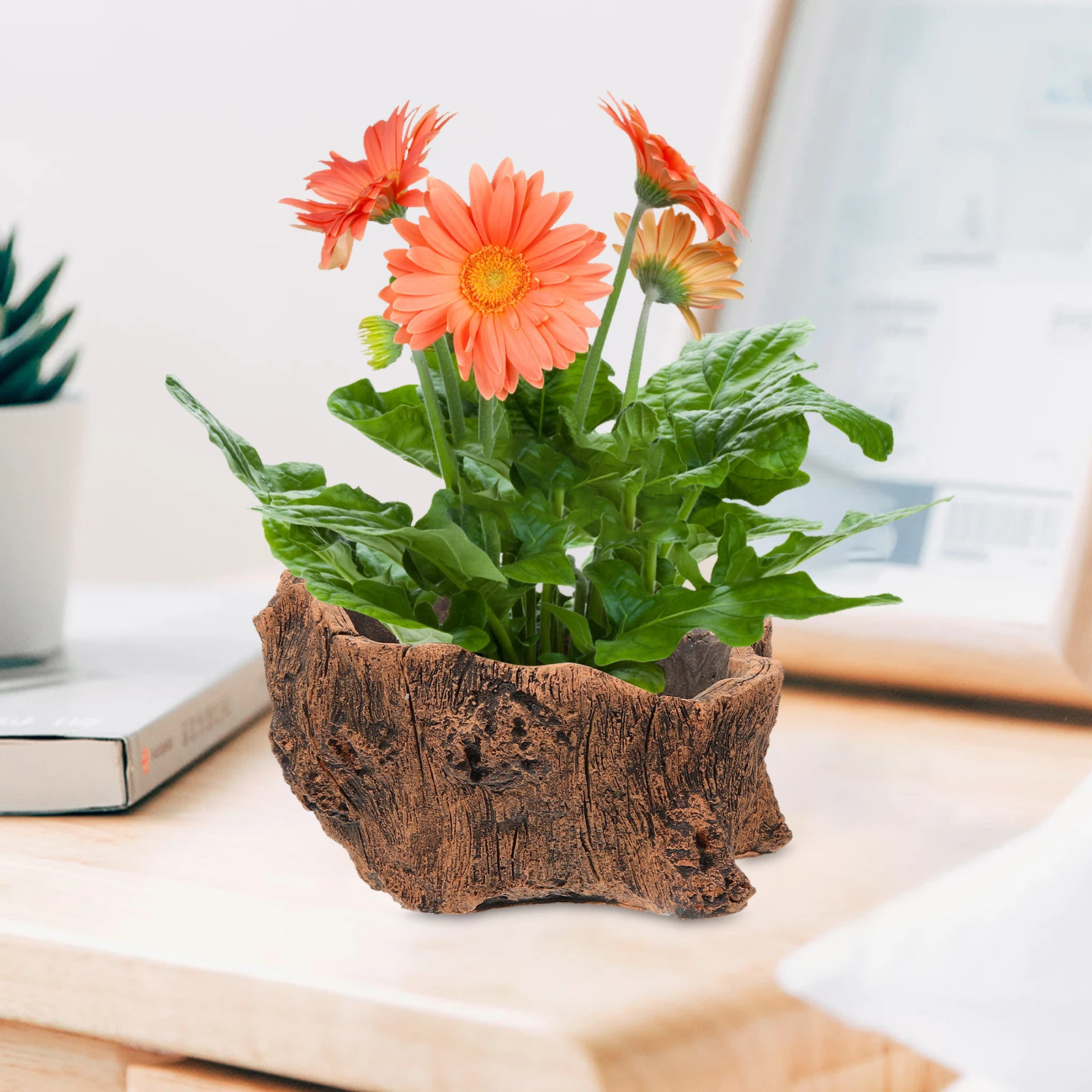 Retro Storage Box Vintage Planter Cement Flower Pot Small Succulent Container Wood Bark Stump Gardening Accessories Gift Box
Retro Storage Box Vintage Planter Cement Flower Pot Small Succulent Container Wood Bark Stump Gardening Accessories Gift Box