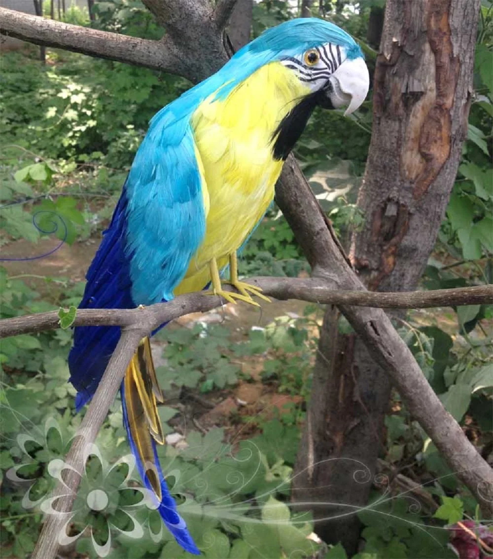 new simulation lake blue parrot model foam&feather Macaw doll gift about 45cm
new simulation lake blue parrot model foam&feather Macaw doll gift about 45cm