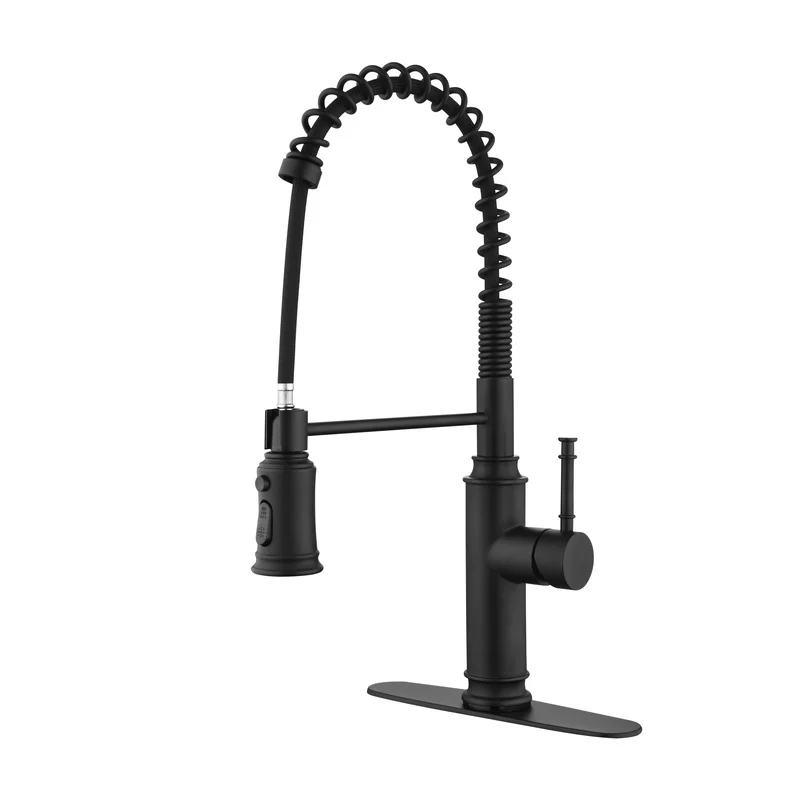 Single Handle Pull Down Kitchen Faucet Sprayer with Spring Mechanism
Single Handle Pull Down Kitchen Faucet Sprayer with Spring Mechanism