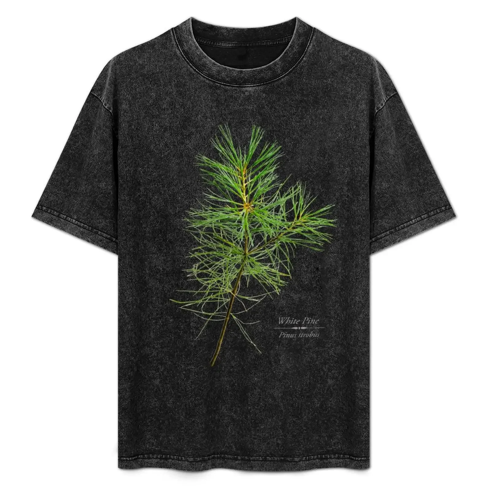 White Pine Tree T-Shirt animal prinfor boys graphic tee shirt summer tops luxury t-shirt mens designer clothes
White Pine Tree T-Shirt animal prinfor boys graphic tee shirt summer tops luxury t-shirt mens designer clothes