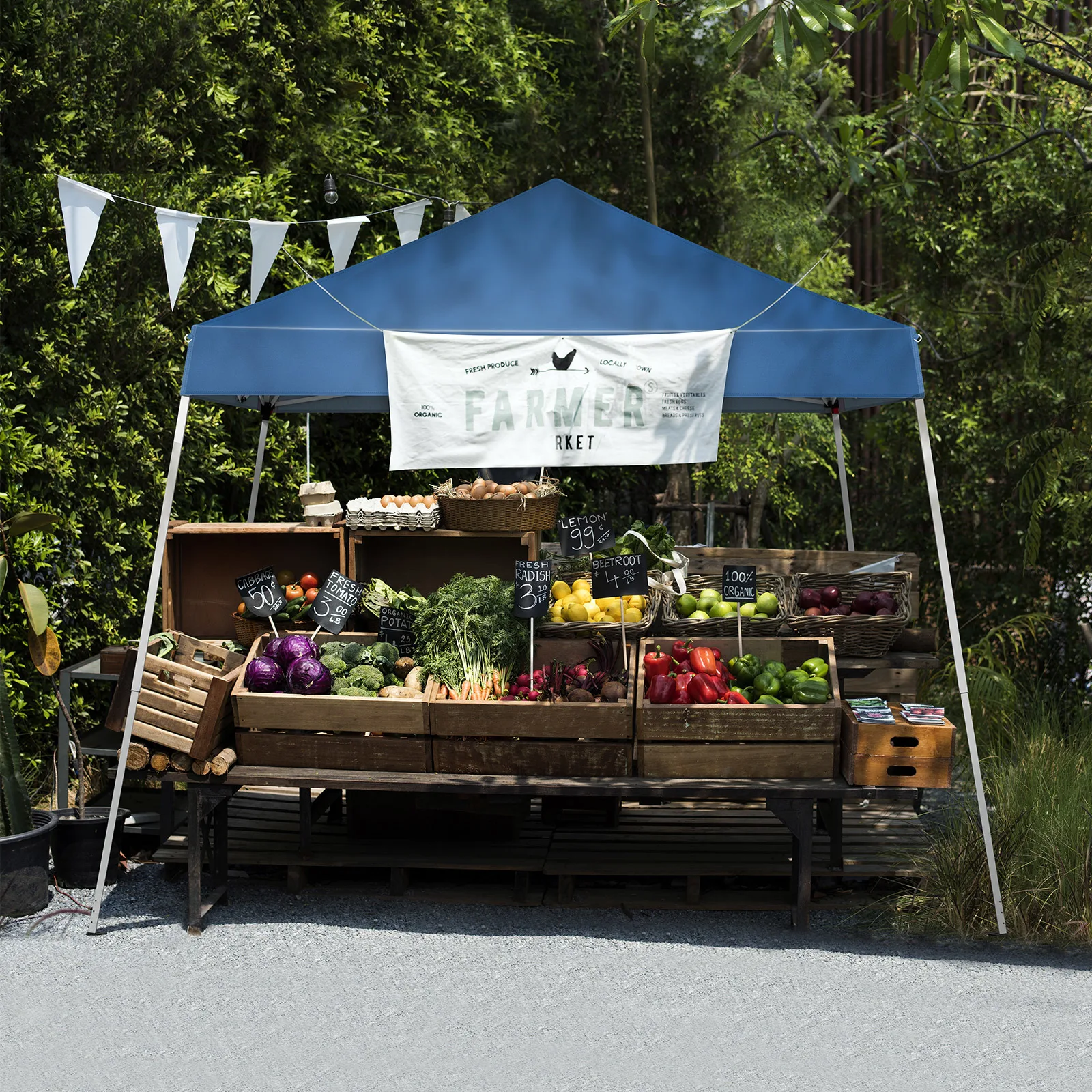 3 x 3M Pop Up Canopy Tent, Outdoor Tent Canopy Foldable Portable Canopies for Camping, Patio, Easy Up Gazebo Canopy with Carry
3 x 3M Pop Up Canopy Tent, Outdoor Tent Canopy Foldable Portable Canopies for Camping, Patio, Easy Up Gazebo Canopy with Carry