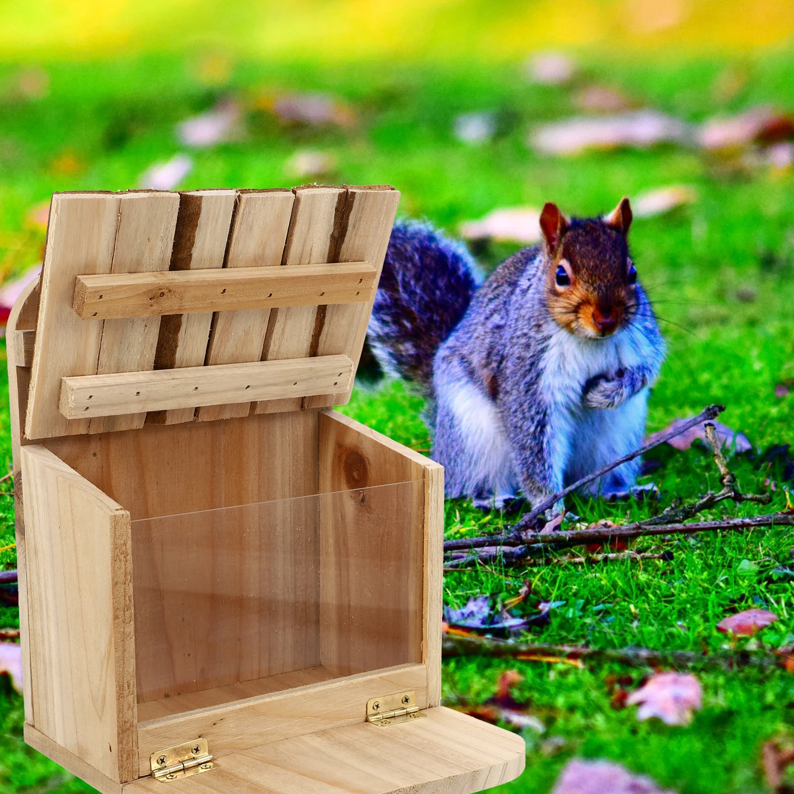 Squirrel Feeder Natural Wood Glass Outdoor Indoor Use Squirrel Picnic Table Pet Feeding Supplies Wooden Acorn Loader
Squirrel Feeder Natural Wood Glass Outdoor Indoor Use Squirrel Picnic Table Pet Feeding Supplies Wooden Acorn Loader