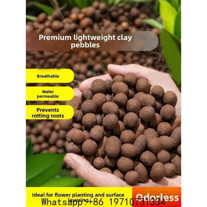 Potting Clay Pellets for Growing Succulents Breathable Pathway Stones Volcanic Rock Particle Flower Bedding
Potting Clay Pellets for Growing Succulents Breathable Pathway Stones Volcanic Rock Particle Flower Bedding