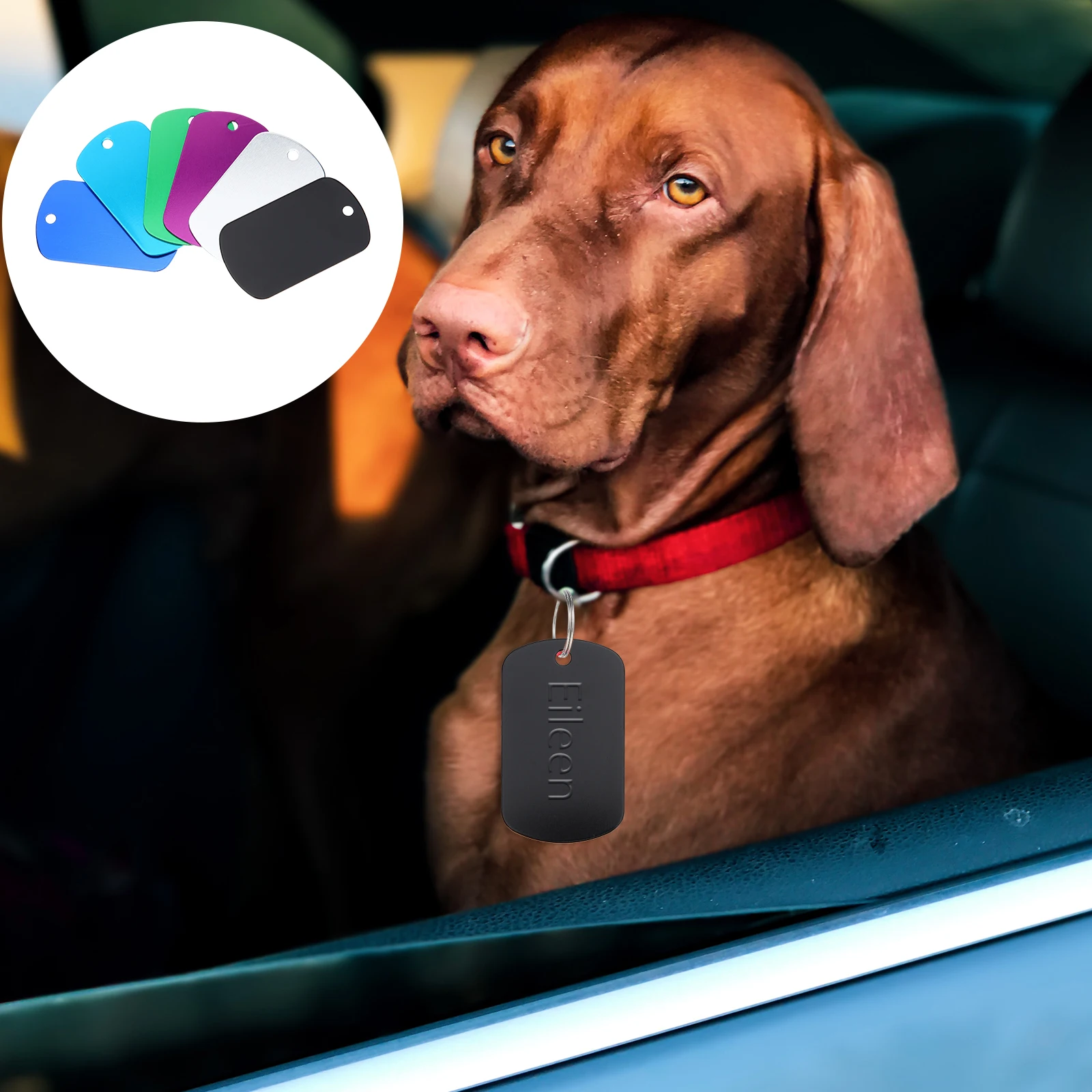 24 Pcs Metal Tags Blank ID Plates for Dogs DIY Alloy Name Pet Id Blank Tags Labels Anti Lost Dog Accessories Pet Supplies
24 Pcs Metal Tags Blank ID Plates for Dogs DIY Alloy Name Pet Id Blank Tags Labels Anti Lost Dog Accessories Pet Supplies