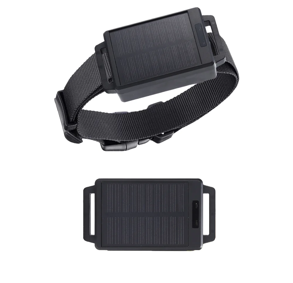 Solar-Powered Intelligent GPS Positioning Tracker Wireless For Cattle And Sheep Veterinary GPSONE APP Tracker For Cow GPS Track
Solar-Powered Intelligent GPS Positioning Tracker Wireless For Cattle And Sheep Veterinary GPSONE APP Tracker For Cow GPS Track