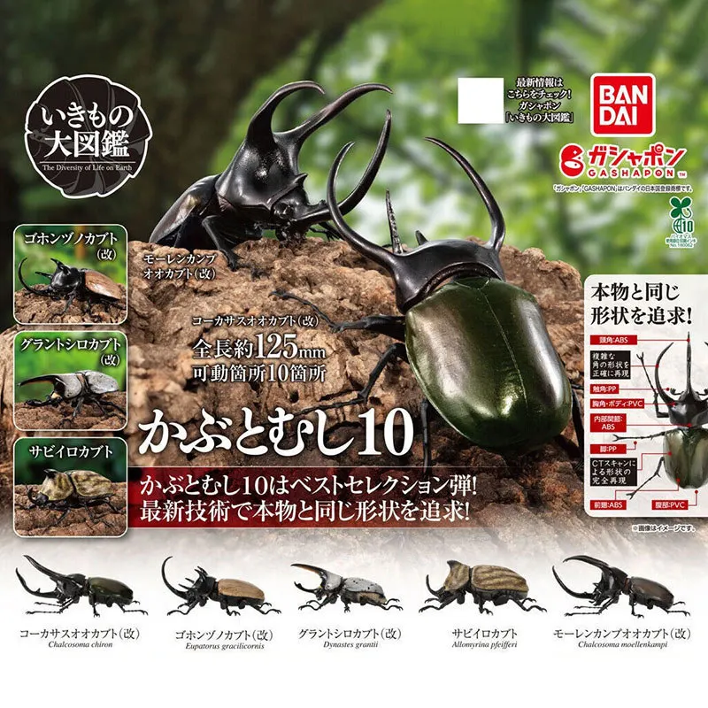Bandai Gashapon Insect Beetle Model Realistic Rhinoceros Beetle Figurine Collectible Desktop Display Decor For Insect Collectors
Bandai Gashapon Insect Beetle Model Realistic Rhinoceros Beetle Figurine Collectible Desktop Display Decor For Insect Collectors