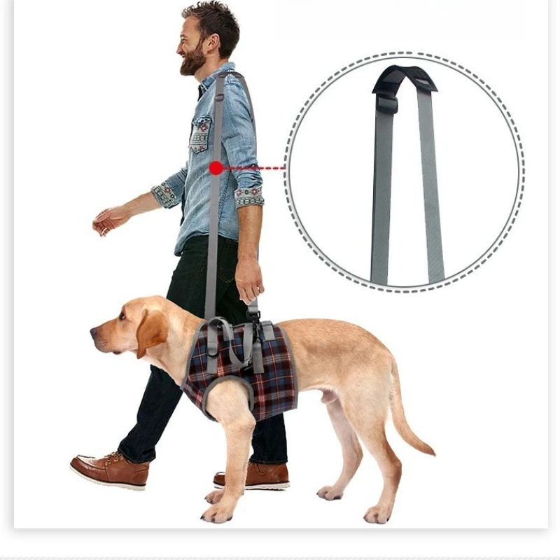 Pet Leg Harness Walking Stand, Dog Leg Protection Strap Hind Leg Disability Injury High Age Dog Auxiliary Strap
Pet Leg Harness Walking Stand, Dog Leg Protection Strap Hind Leg Disability Injury High Age Dog Auxiliary Strap