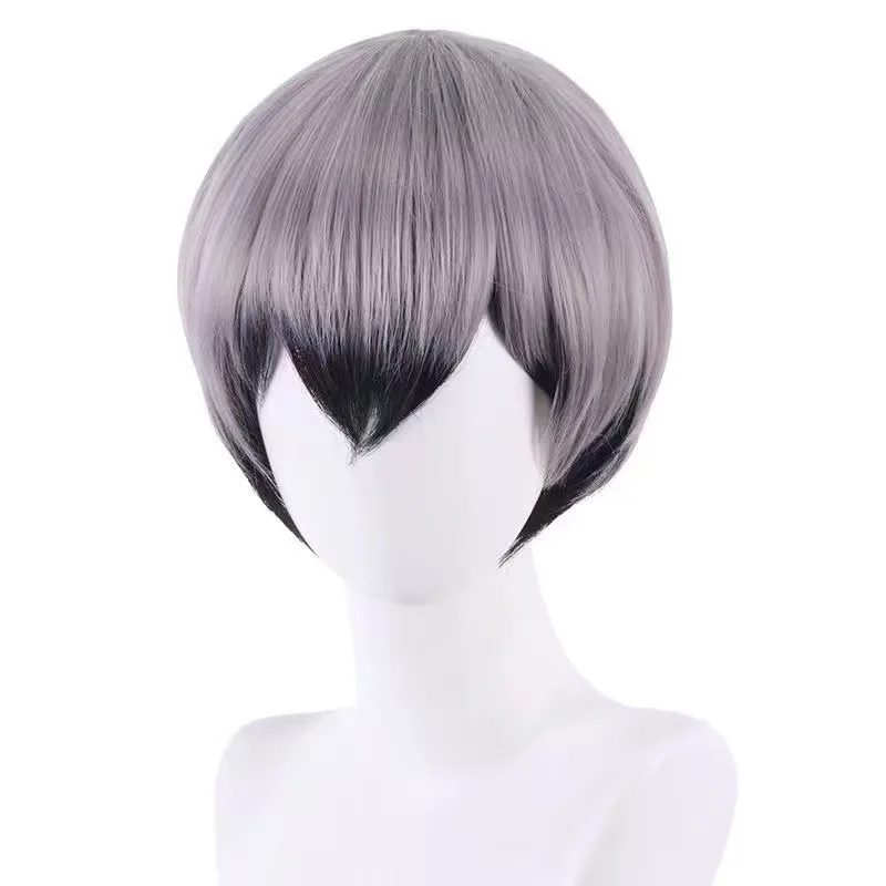 2D Anime Cosplay Wig Easy Styling Cos Hair for Comic Exhibition Role Play
2D Anime Cosplay Wig Easy Styling Cos Hair for Comic Exhibition Role Play