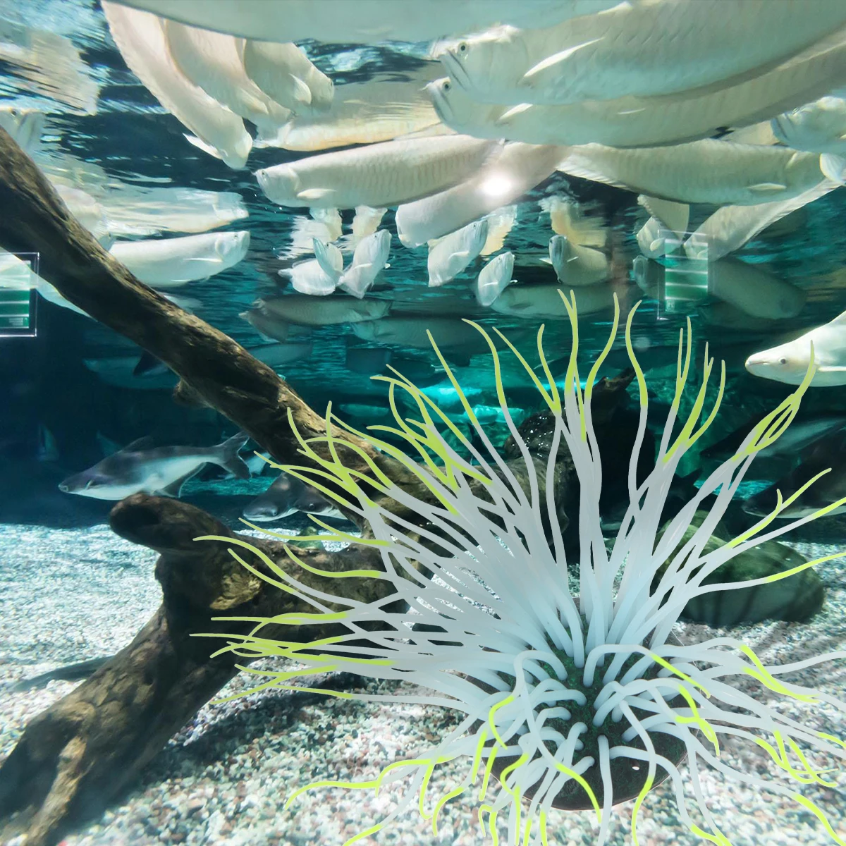 Simulated Coral Fish Tank Decoration Marine Aquarium Feature Decorations Artificial Ornament for 
Simulated Coral Fish Tank Decoration Marine Aquarium Feature Decorations Artificial Ornament for