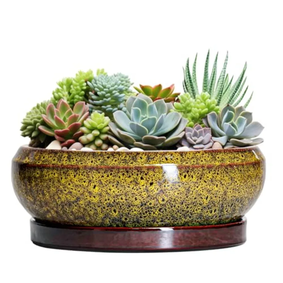 Large 13 Inch Yellow Ceramic Succulent Pots with Drainage Hole and Tray for Indoor Shallow Planting and Outdoor Garden Decor, B
Large 13 Inch Yellow Ceramic Succulent Pots with Drainage Hole and Tray for Indoor Shallow Planting and Outdoor Garden Decor, B