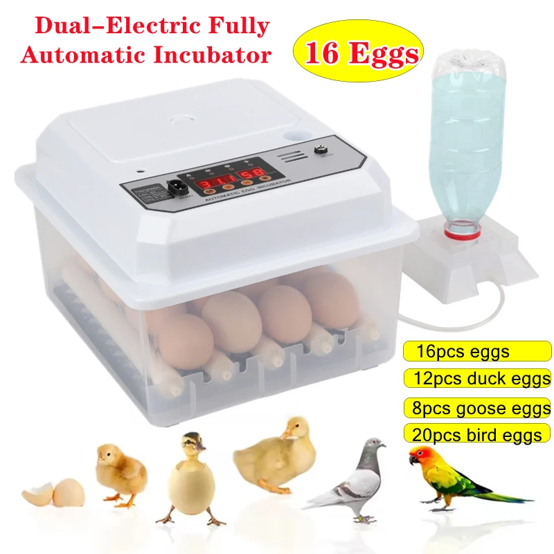 Полностью автоматический инкубатор для яиц на 16 яиц, инкубатор для куриных и Перепелиных яиц
Полностью автоматический инкубатор для яиц на 16 яиц, инкубатор для куриных и Перепелиных яиц