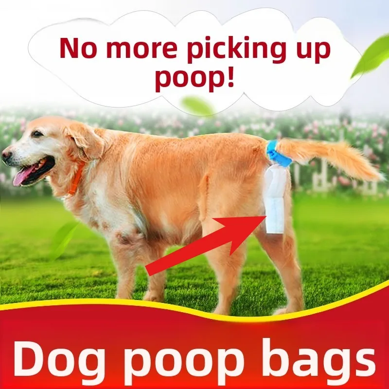 Poop Bags Dog Waste Disposal Portable Dispenser Holder Leash Attachment Biodegradable Eco Friendly Pet Clean Up Supplies Outdoor
Poop Bags Dog Waste Disposal Portable Dispenser Holder Leash Attachment Biodegradable Eco Friendly Pet Clean Up Supplies Outdoor