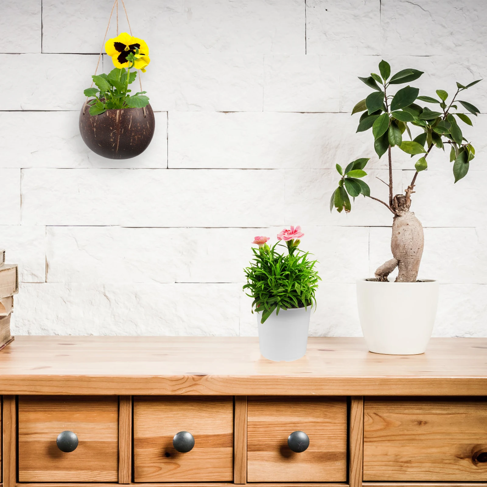 Coconut Shell Hanging Flower Pot Large Planters Indoor WallMounted Decorative Balcony Planter Waterproof Durability
Coconut Shell Hanging Flower Pot Large Planters Indoor WallMounted Decorative Balcony Planter Waterproof Durability