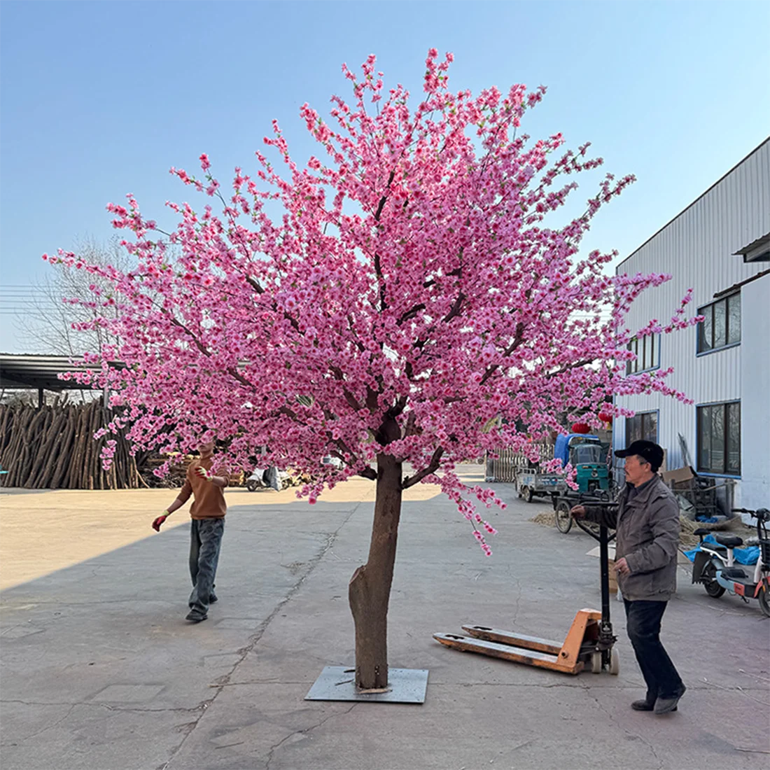 Peach Blossom Tree,Simulation Tree,Fake Tree Large Cherry Blossom Tree Shopping Mall Scenic Spot Layout Decoration
Peach Blossom Tree,Simulation Tree,Fake Tree Large Cherry Blossom Tree Shopping Mall Scenic Spot Layout Decoration