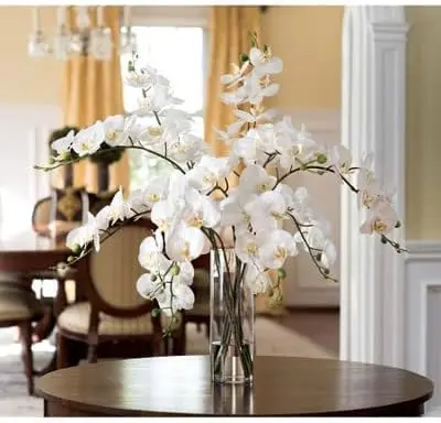 Grand Phalaenopsis Orchid Artificial Flower Arrangement -White
Grand Phalaenopsis Orchid Artificial Flower Arrangement -White