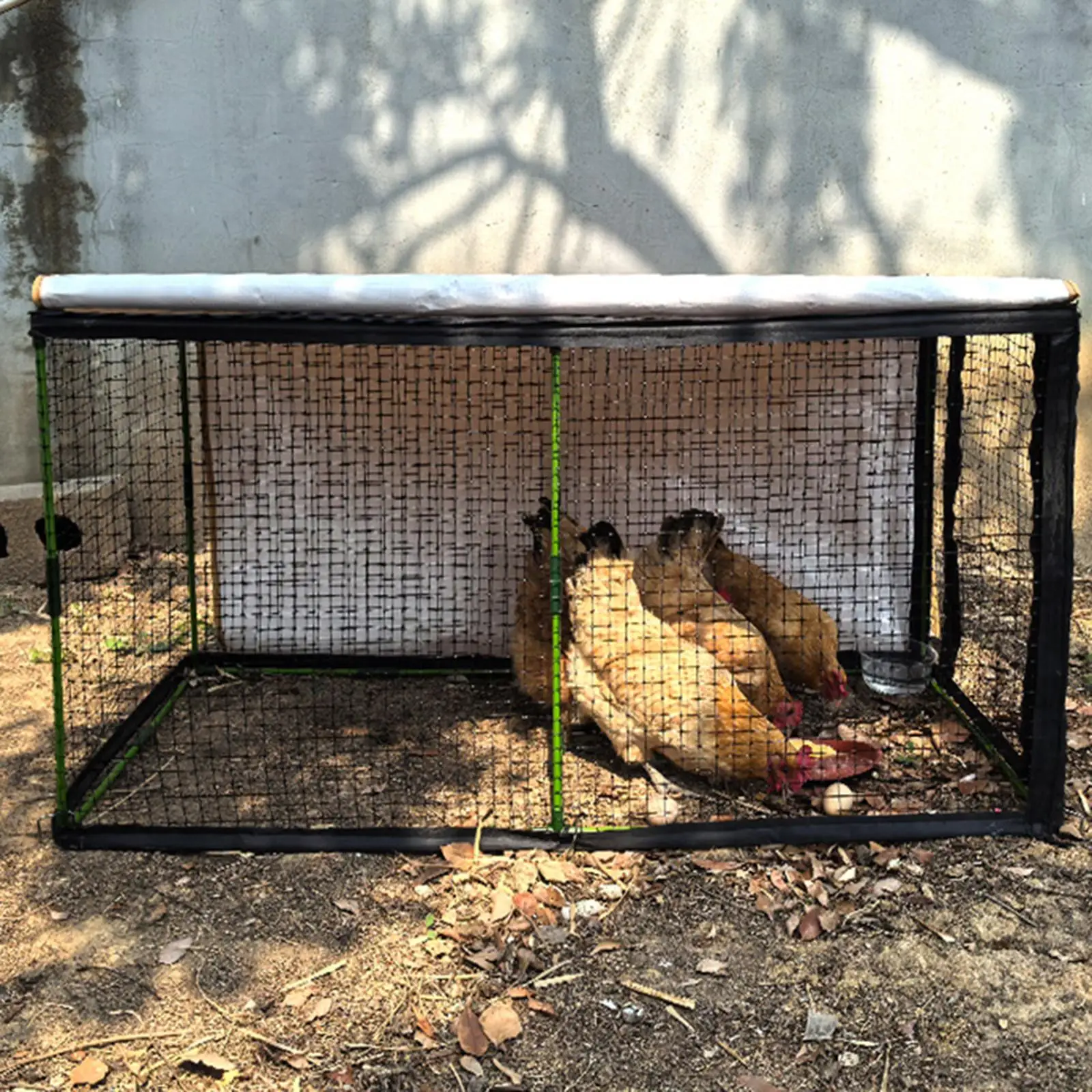 Outdoor Chicken House Tunnel Cage with Stable Reinforced Brackets Sunshade Cloth Easy Install for Chicks and Ducks
Outdoor Chicken House Tunnel Cage with Stable Reinforced Brackets Sunshade Cloth Easy Install for Chicks and Ducks