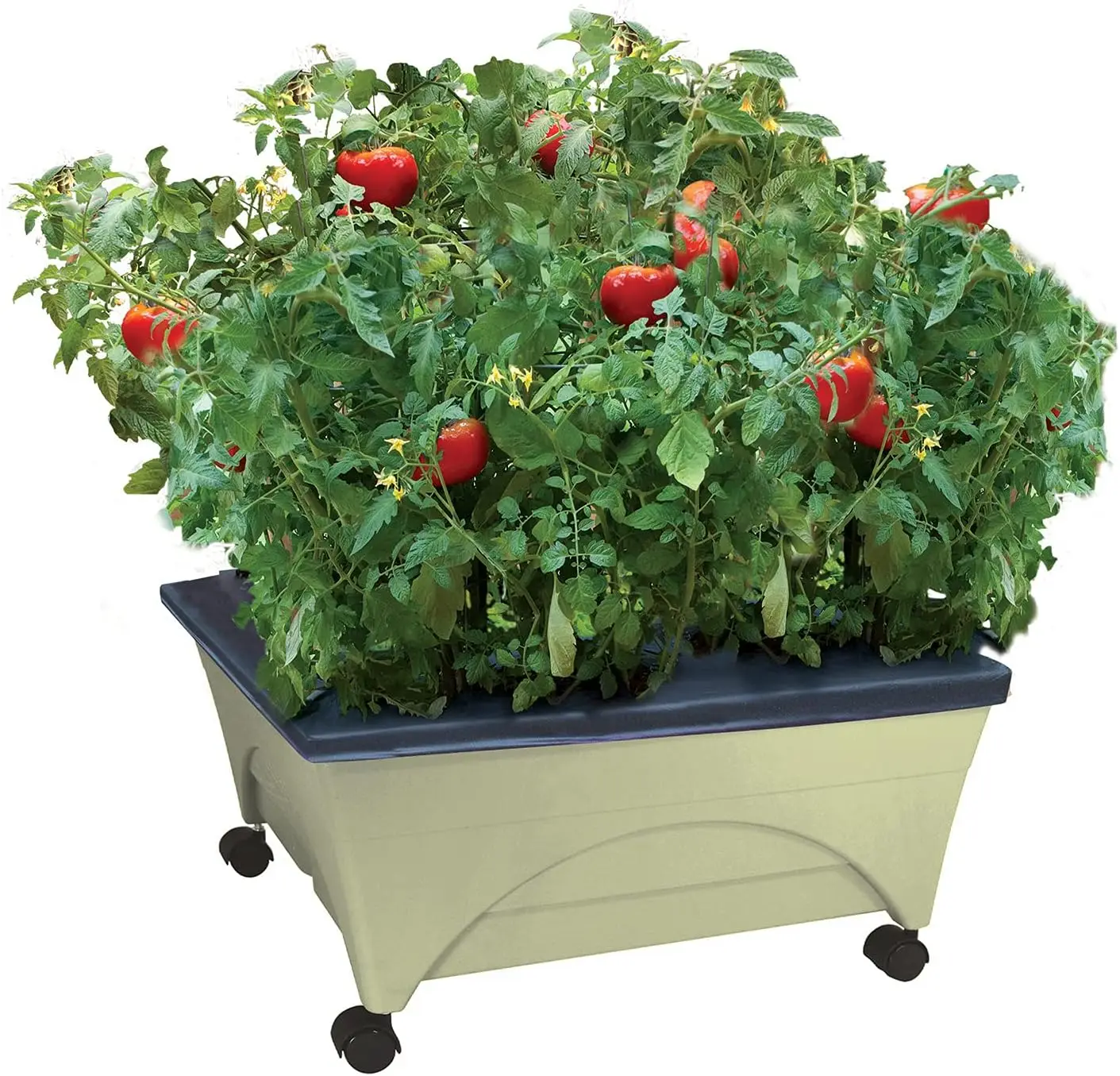 Self-Watering Raised Garden Bed with Casters - Mobile Planter Box for Easy Aeration and Gardening
Self-Watering Raised Garden Bed with Casters - Mobile Planter Box for Easy Aeration and Gardening