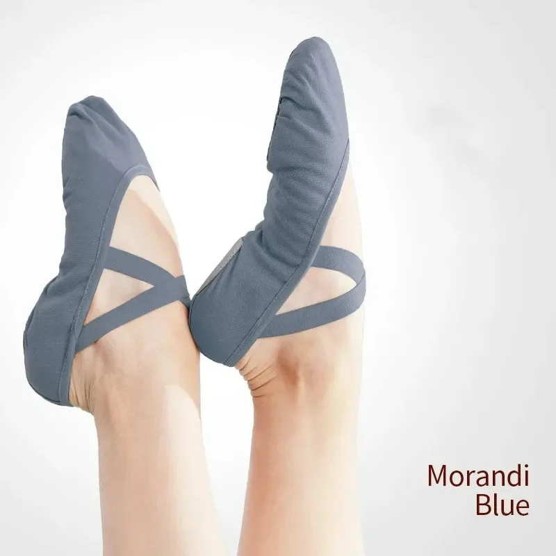 Women Ballet Shoes Girls Professional Ballet Slippers Split Sole Dance Shoes Women Dance Training Shoes
Women Ballet Shoes Girls Professional Ballet Slippers Split Sole Dance Shoes Women Dance Training Shoes