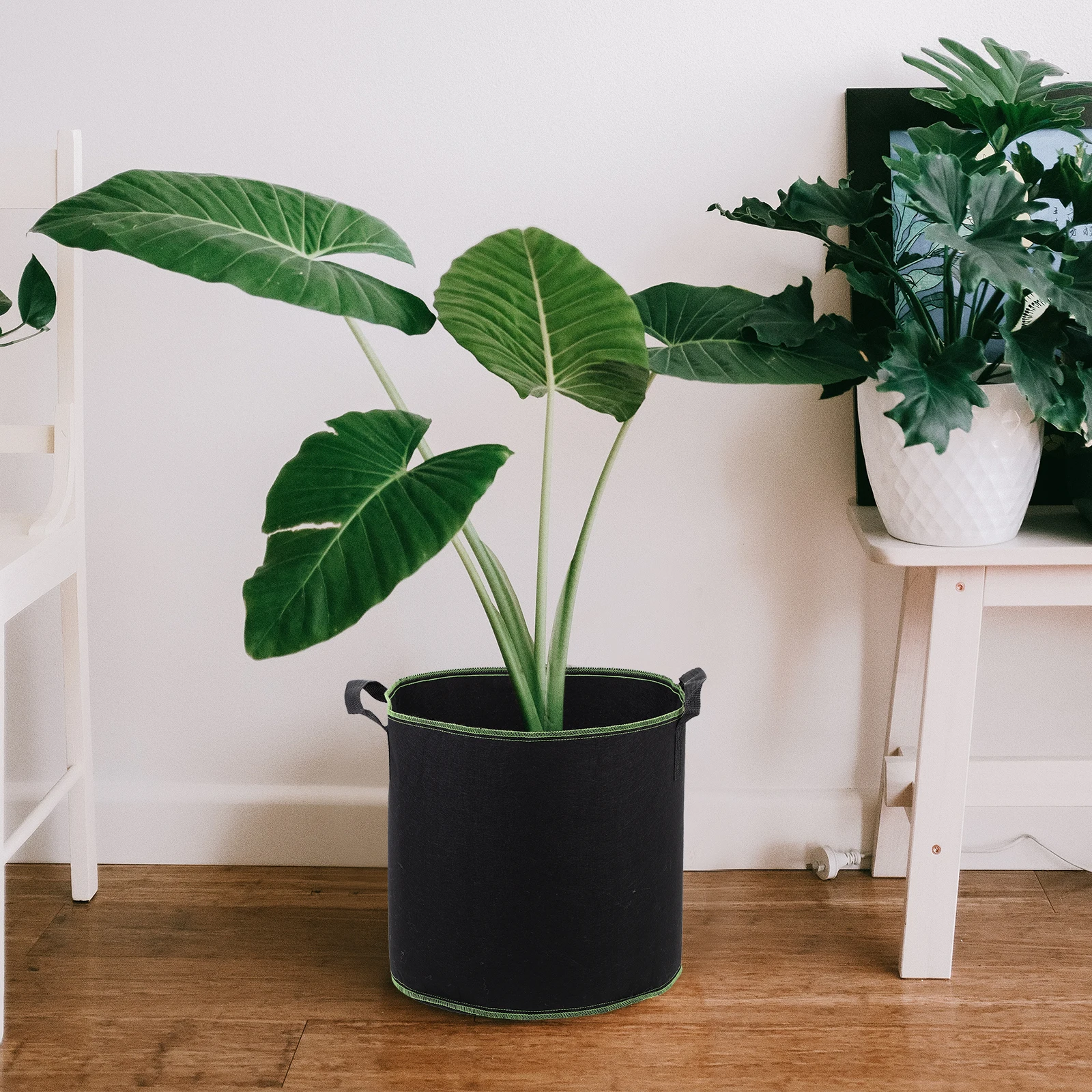 5 Pcs Planting Bucket Seedling Bag Nursery Bags Grow Thicken Garden Bed Growing Non-woven Fabric Pots Nonwoven Flower
5 Pcs Planting Bucket Seedling Bag Nursery Bags Grow Thicken Garden Bed Growing Non-woven Fabric Pots Nonwoven Flower