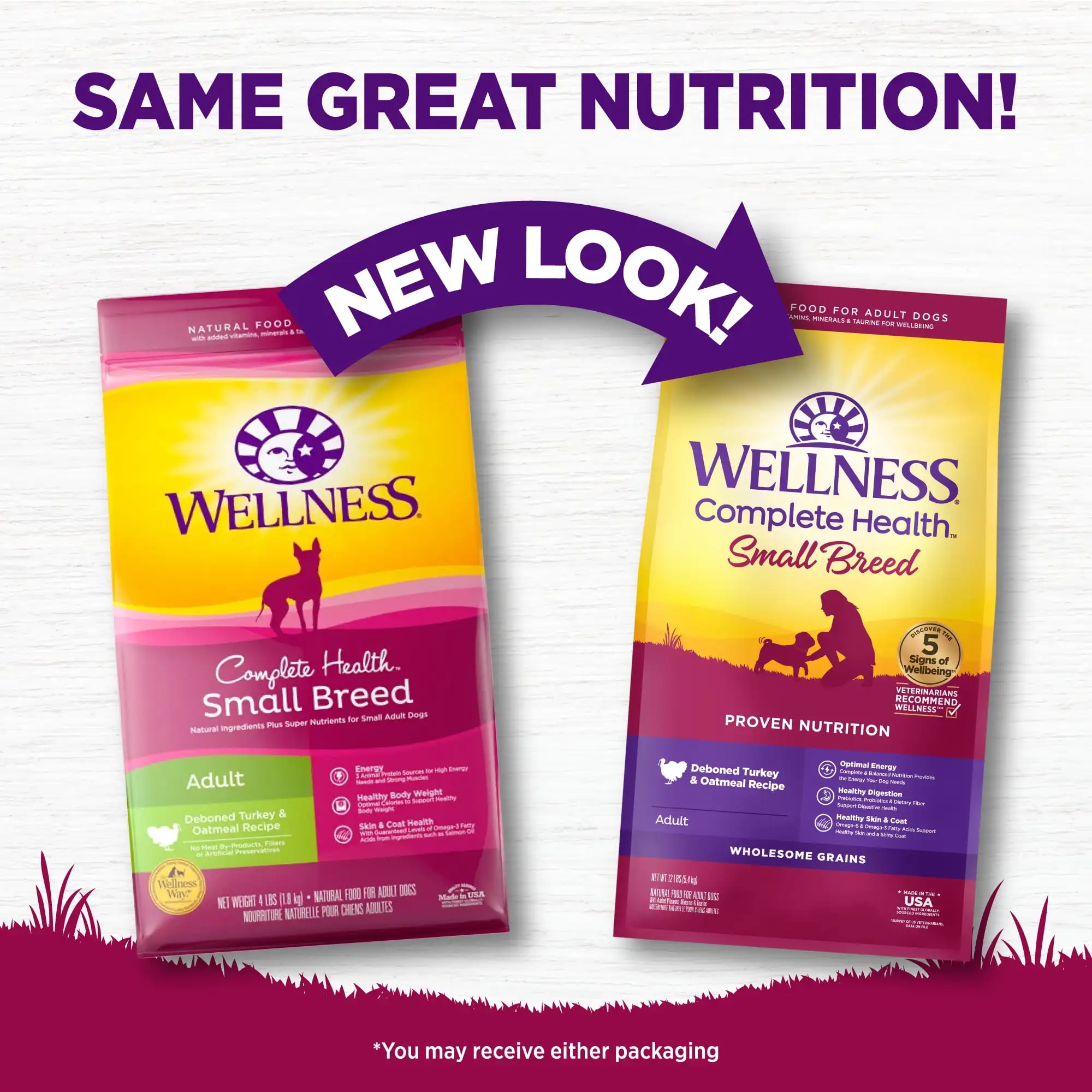 Wellness Complete Health Natural Small Breed Dry Dog Food, Turkey & Oatmeal, 12-Pound Bag
Wellness Complete Health Natural Small Breed Dry Dog Food, Turkey & Oatmeal, 12-Pound Bag
