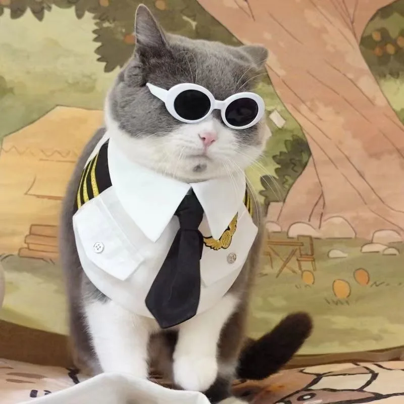 Pet Uniform Clothes Captain Cosplay Costumes Puppy Pet Clothes Funny Dressing Up Jacket Coats for Small Dogs Cats Pet Products
Pet Uniform Clothes Captain Cosplay Costumes Puppy Pet Clothes Funny Dressing Up Jacket Coats for Small Dogs Cats Pet Products