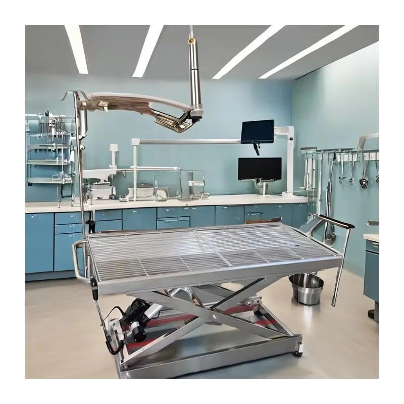 Veterinary Electric Stainless Steel Pet Medical Temperature Vet Mattress Operating Exam Table
Veterinary Electric Stainless Steel Pet Medical Temperature Vet Mattress Operating Exam Table