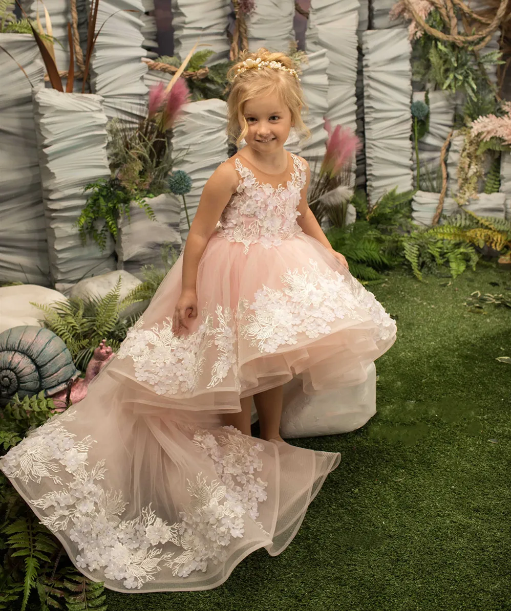 Light Pink High-Low Flower Girl Dresses for Wedding Applique Lace Buttons Back Kids Holy Communion Dress Prom Gown Vestidos Niña
Light Pink High-Low Flower Girl Dresses for Wedding Applique Lace Buttons Back Kids Holy Communion Dress Prom Gown Vestidos Niña