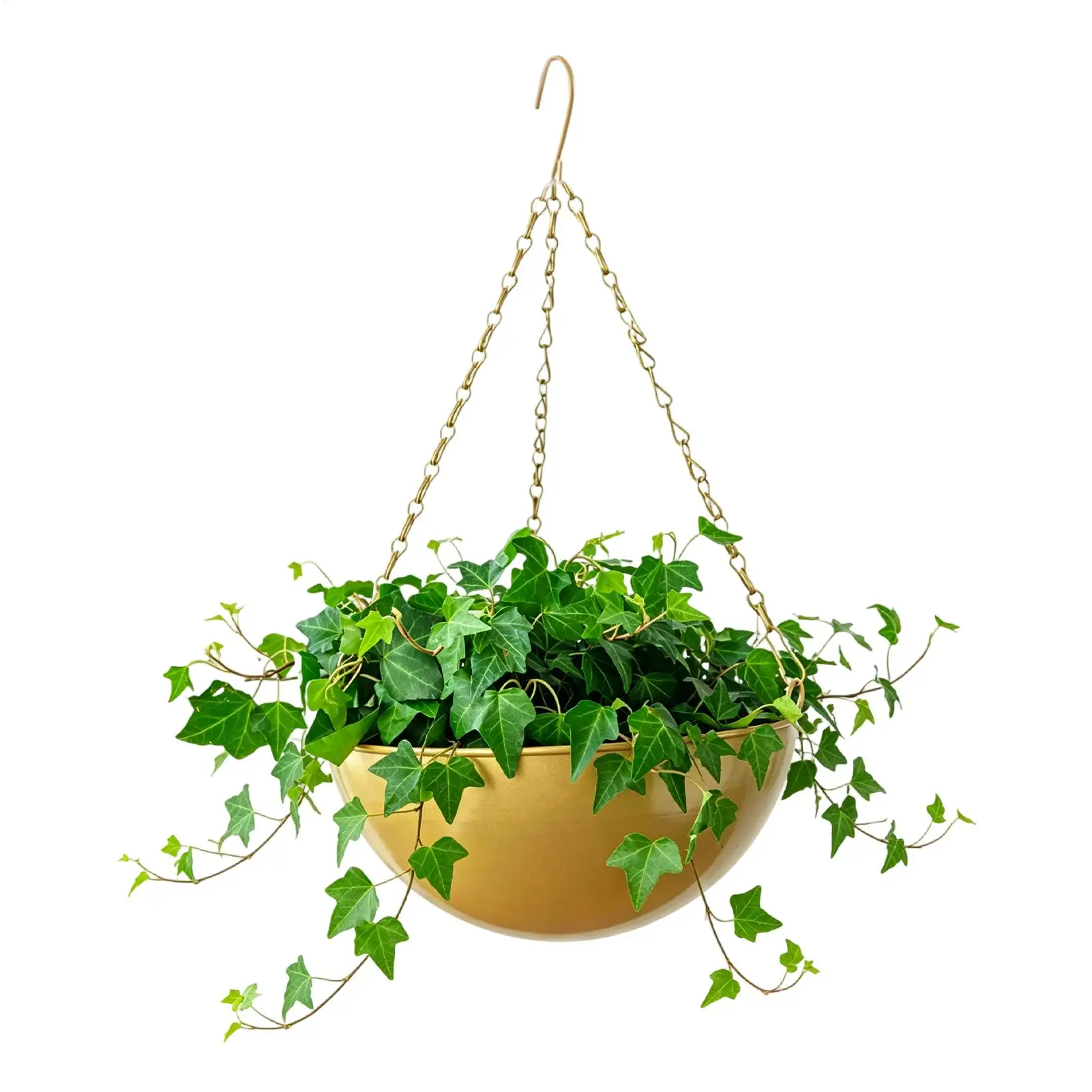 Plant Hangers Outdoor Iron Self Watering Space Saving Modern Plant Pot Hanger Indoor Wall Decor For Home Decor Window Living
Plant Hangers Outdoor Iron Self Watering Space Saving Modern Plant Pot Hanger Indoor Wall Decor For Home Decor Window Living