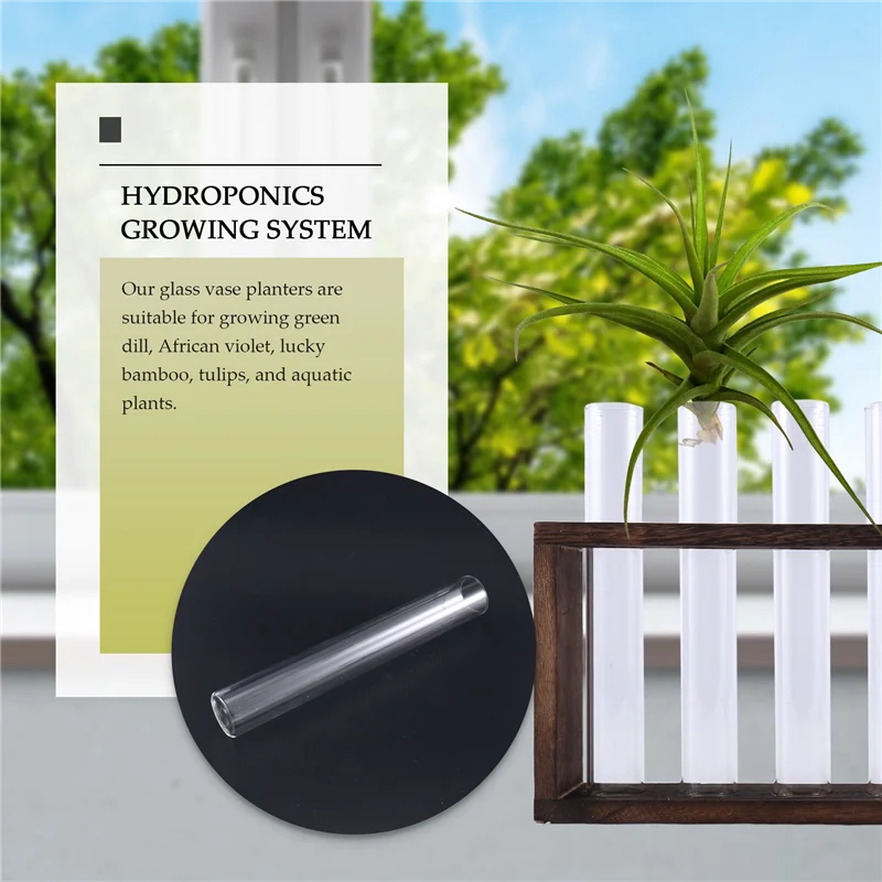 -AT37 Plant Terrarium With Wooden Stand, Desktop/Wall Hanging Live Plant Propagation Station Planters Glass Tubes Hydroponic
-AT37 Plant Terrarium With Wooden Stand, Desktop/Wall Hanging Live Plant Propagation Station Planters Glass Tubes Hydroponic