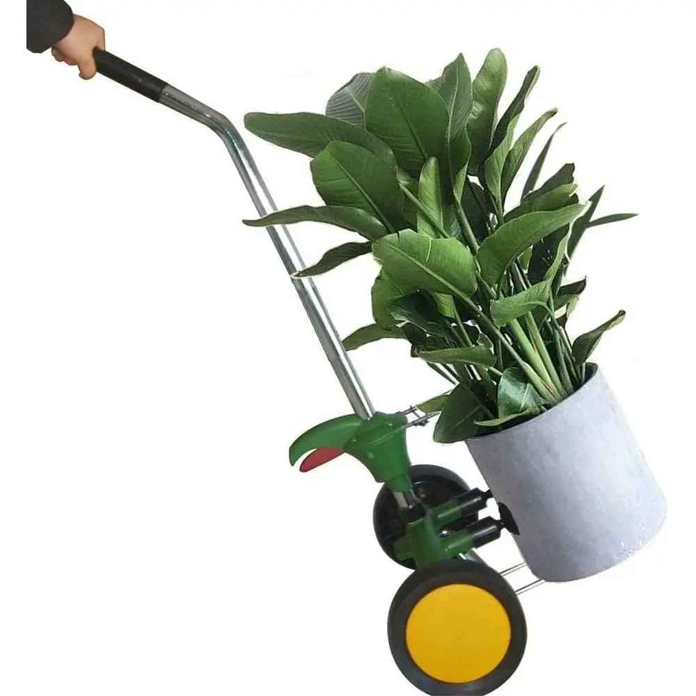 Adjustable Handle Potted Plant Dolly with Large Wheels for Garden Pots and Trees
Adjustable Handle Potted Plant Dolly with Large Wheels for Garden Pots and Trees