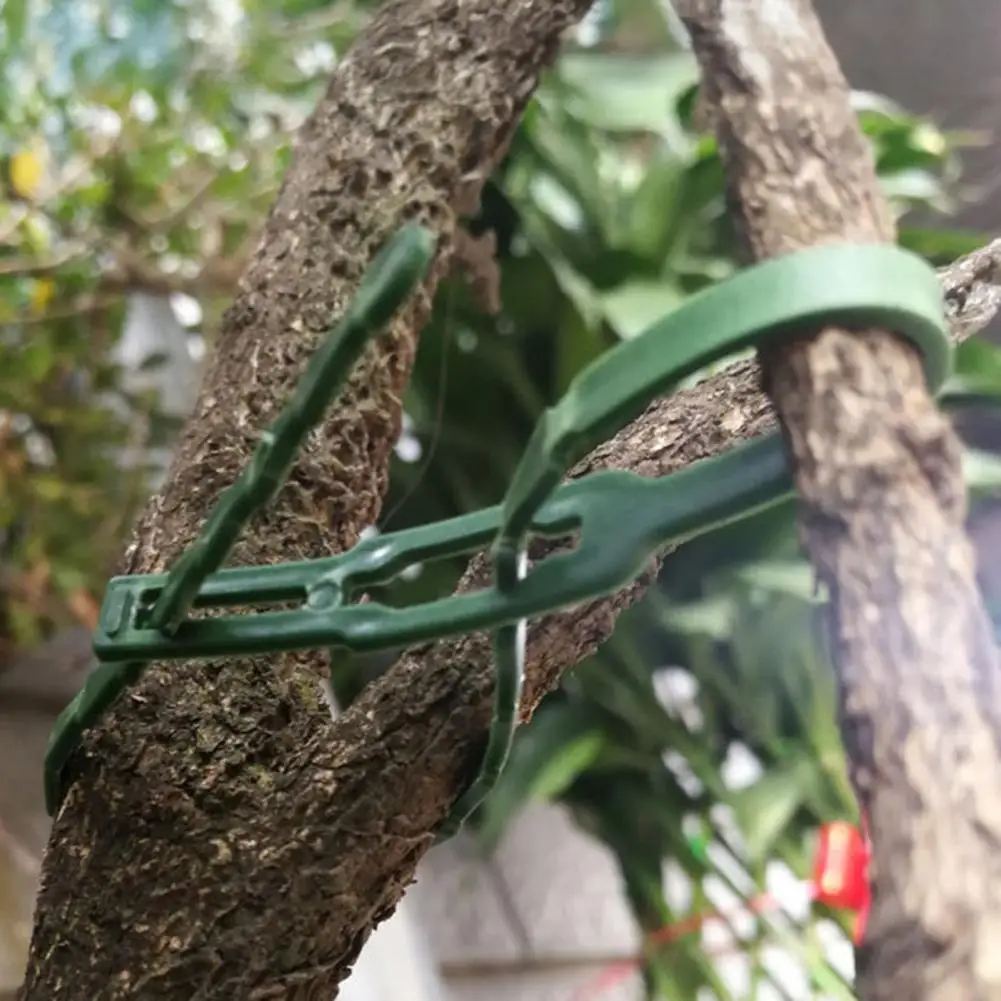 Plant Ties for Garden Reusable Plant Ties for Indoor Outdoor Climbing Plants Self-locking Cable Ties for Garden Organization
Plant Ties for Garden Reusable Plant Ties for Indoor Outdoor Climbing Plants Self-locking Cable Ties for Garden Organization