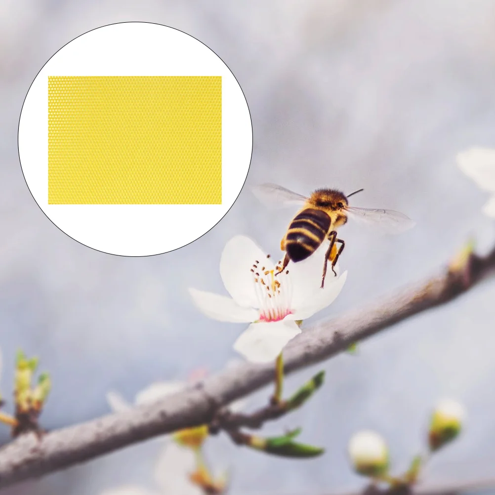 10Pcs Beehive Foundation Sheet Waxed Beehive Base for Honeybee Nest Natural Wax Build Strong Comb Save Time Great Beekeeping
10Pcs Beehive Foundation Sheet Waxed Beehive Base for Honeybee Nest Natural Wax Build Strong Comb Save Time Great Beekeeping