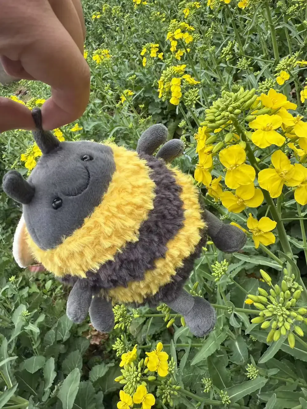 NEW Adorable Albee Bee Spring Plush Toy for Kids Super Soft, Cuddly, and Cute Elephant , Perfect Soothing Plush Toy Gift
NEW Adorable Albee Bee Spring Plush Toy for Kids Super Soft, Cuddly, and Cute Elephant , Perfect Soothing Plush Toy Gift